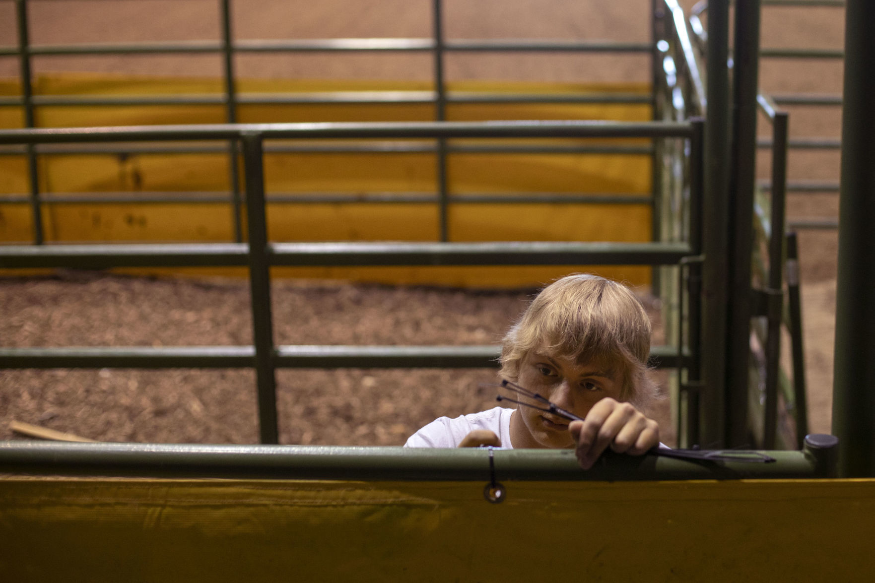 CNFR Set Up